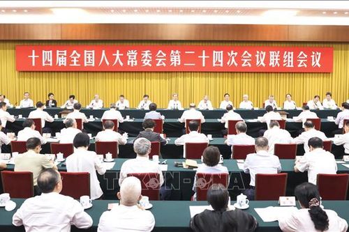 Ủy ban Thường vụ Nhân đại Trung Quốc quyết định một loạt vấn đề về pháp luật, nhân sự