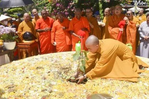 Cung nghinh cây Bồ đề từ Sri Lanka về trồng tại Công viên Chùa Vĩnh Tràng