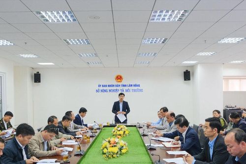 Lâm Đồng tăng cường giữ rừng, xử lý các 'điểm nóng'
