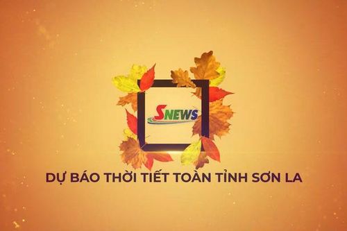 Dự báo thời tiết toàn tỉnh Sơn La ngày 29/8/2026