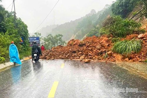 Tuyên Quang chuyển mạnh sang chủ động phòng chống thiên tai, yêu cầu hoàn thành rà soát trước ngày 5/9