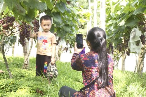 Làng quê xanh thúc đẩy nông nghiệp trải nghiệm