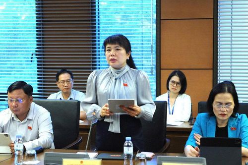 Đoàn Đại biểu Quốc hội tỉnh Quảng Ninh tại Kỳ họp không thường lệ thứ Nhất: Hoàn thiện các quyết sách chiến lược quốc gia