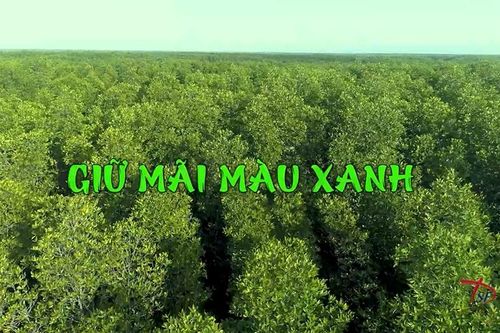 Giữ mãi màu xanh
