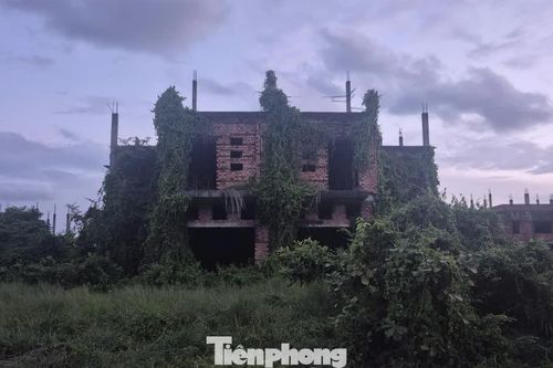 Đồng Nai cảnh báo tình trạng đầu cơ, làm giá nhà đất đón quy hoạch