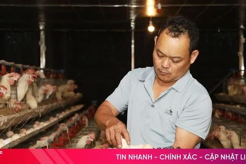 Mai Hoa chuyển mình từ những mô hình kinh tế hiệu quả