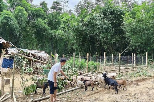 Đổi thay từ những mô hình kinh tế ở Mường Mìn