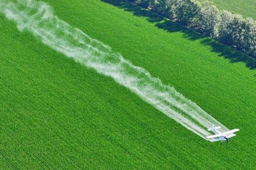 Hành động sớm để giảm 'cú sốc kép' từ khí hậu và an ninh lương thực