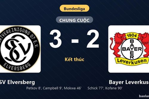 Thống kê trận đấu SV Elversberg 3-2 Bayer Leverkusen: David Mokwa tỏa sáng, SV Elversberg giành trọn 3 điểm