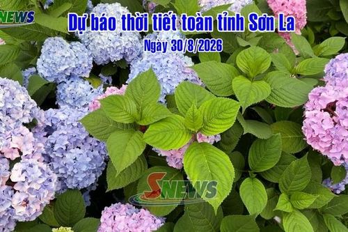 Dự báo thời tiết toàn tỉnh Sơn La ngày 30/8/2026