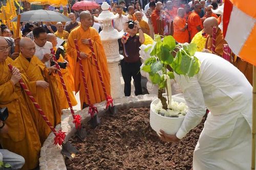 Hà Nội: Chùa Vạn Phúc tổ chức trồng cây bồ-đề được chiết từ Đại bồ-đề của Sri Lanka
