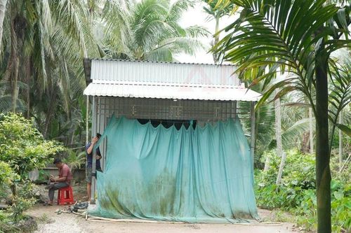 Nghi án chồng đâm vợ tử vong rồi trèo lên ngọn dừa lẩn trốn, ngã xuống trọng thương