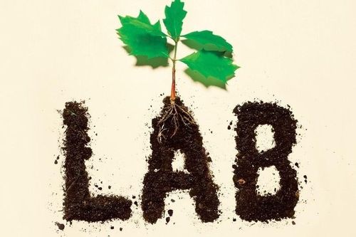 Những câu chuyện phía sau phòng thí nghiệm