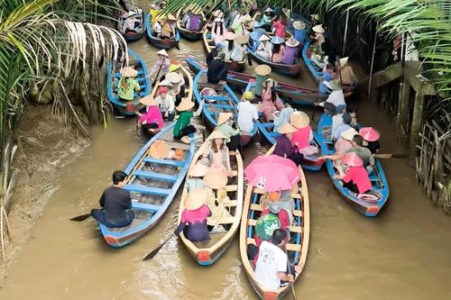 Du khách thích thú trải nghiệm xuồng ba lá, xe ngựa trên cồn Thới Sơn