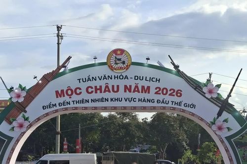Tuần Văn hóa Du lịch Mộc Châu năm 2026 nâng tầm bản sắc và bứt phá phát triển