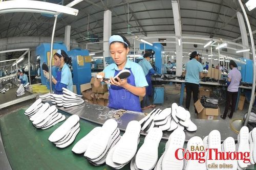 GoGlobal và cách làm mới để doanh nghiệp đi xa