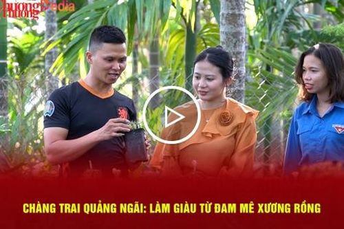 Chàng trai Quảng Ngãi: Làm giàu từ đam mê xương rồng