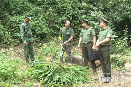Mô hình “Biên giới bình yên - xã không xuất, nhập cảnh trái phép”