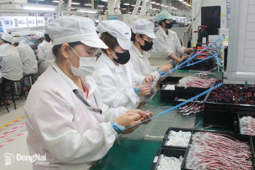 Hăng say lao động mừng Quốc khánh