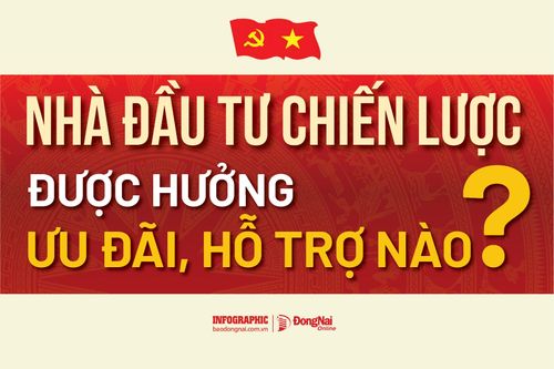 [Infographic] Luật Phát triển đô thị: Nhà đầu tư chiến lược được hưởng ưu đãi, hỗ trợ nào?