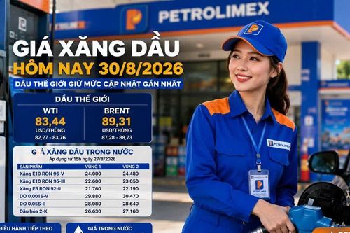 Giá xăng dầu hôm nay 30/8/2026: Dầu thế giới nghỉ cuối tuần