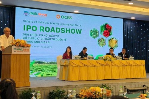 HAGL chuyển nhượng gần 15 triệu cổ phần HGI với giá thấp hơn IPO