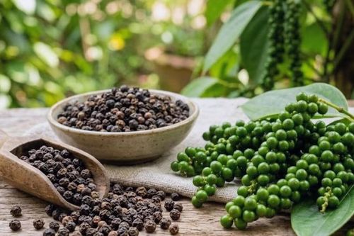 Hồ tiêu Việt Nam: Từ lợi thế sản lượng đến cuộc chơi giá trị