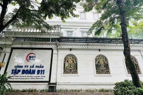 Kiểm toán ghi nhận thêm doanh thu, Tập đoàn 911 (NO1) báo lãi bán niên vỏn vẹn 167 triệu đồng
