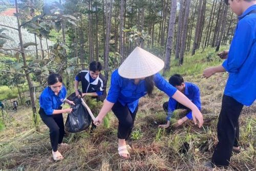 Thanh niên Lâm Đồng là lực lượng xung kích trong chuyển đổi số và phát triển nông nghiệp xanh