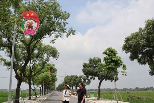 Xã Hát Môn: Đấu giá đất tạo nguồn lực phát triển hạ tầng