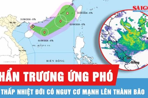 Khẩn trương ứng phó áp thấp nhiệt đới có nguy cơ mạnh lên thành bão
