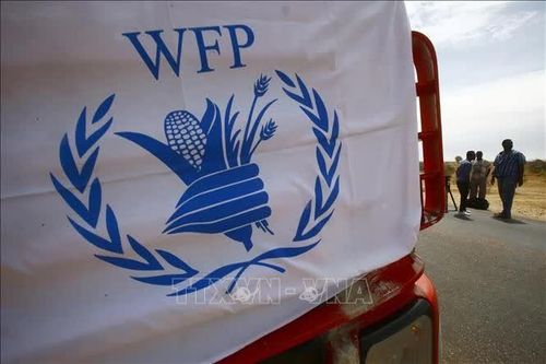 WFP mở rộng dự án phát triển hệ thống lương thực ở Cuba