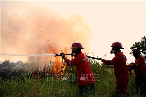 Indonesia huy động hàng trăm quân nhân ứng phó cháy rừng, phục hồi hệ sinh thái