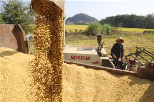 Radar trở thành 'mắt thần' giúp Trung Quốc bảo vệ cây lương thực