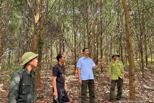 “Lá chắn” giữ vững an ninh rừng
