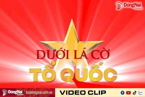 [Video] Dưới lá cờ Tổ quốc: Từ ‘vàng trắng’ đến giá trị xanh
