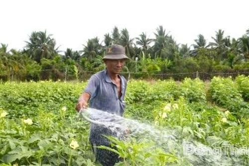 Phường Mỹ Phong: Quyết tâm thực hiện mục tiêu giảm nghèo bền vững