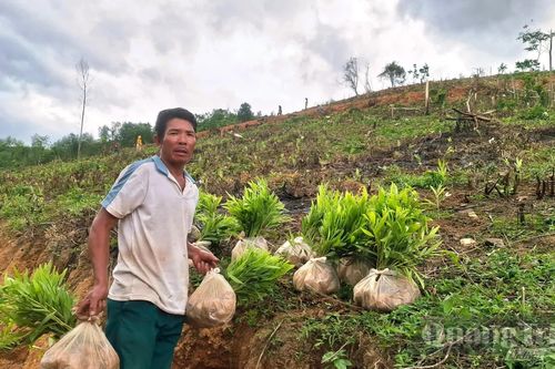 Gương sáng giữa đại ngàn