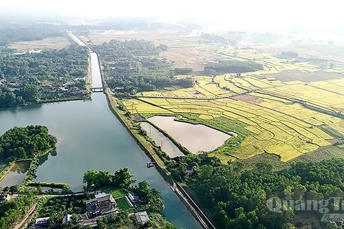 Mạch nguồn cho những mùa vàng