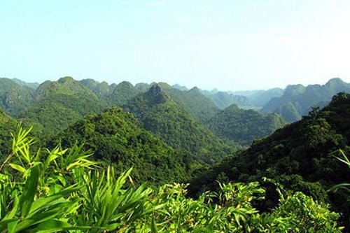 "Rừng xanh làm ra tiền", 11 cộng đồng miền núi Nghệ An lần đầu hưởng lợi từ ERPA năm 2026