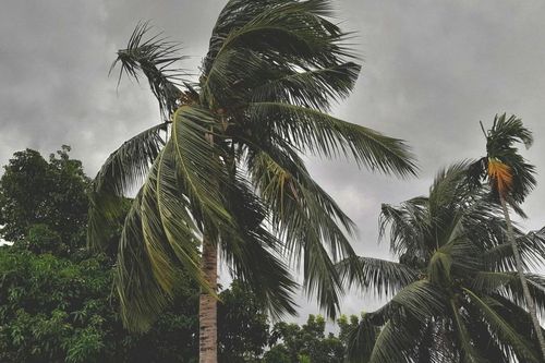 Áp thấp nhiệt đới ảnh hưởng thế nào đến thời tiết?