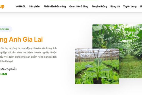 HAGL (HAG) bán gần 14,7 triệu cổ phần HGI với giá thấp hơn 25% so với giá IPO
