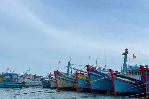 21 tỉnh, thành phố ven biển chủ động ứng phó áp thấp nhiệt đới