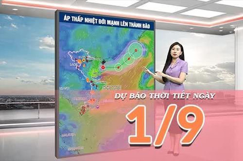[Video] Dự báo thời tiết ngày 1/9/2026: Áp thấp nhiệt đới mạnh lên thành bão, Bắc Bộ nắng nóng, Trung Bộ mưa dông