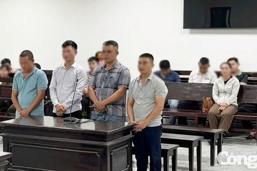 Xét xử 4 đối tượng trong đường dây buôn lậu hổ xuyên quốc gia