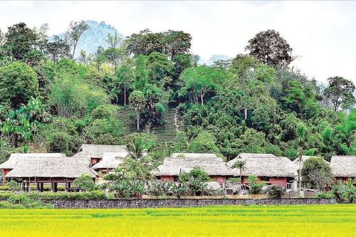 Về lại Tân Trào