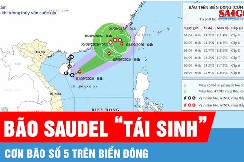 Áp thấp nhiệt đới đã mạnh lên thành bão số 5