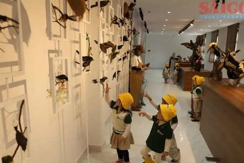 Du khách thích thú chiêm ngưỡng hàng ngàn tiêu bản quý hiếm tại Đà Lạt