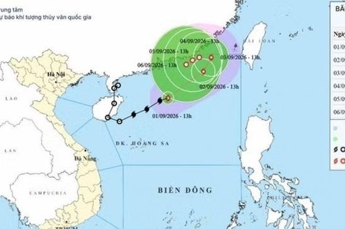 Bão số 5 gây sóng cao 6m trên Biển Đông