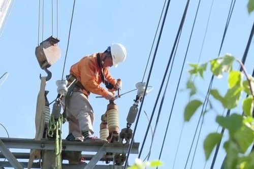 Hà Nội tăng cường bảo vệ hành lang an toàn công trình điện lực